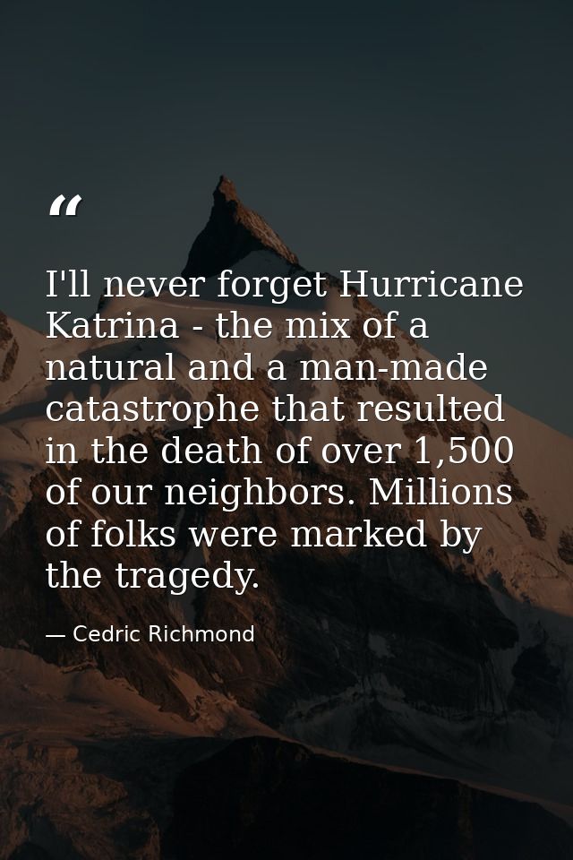 I'll never forget Hurricane Katrina - the mix of a natural and a man-made catastrophe that resulted in the death of over — Cedric Richmond