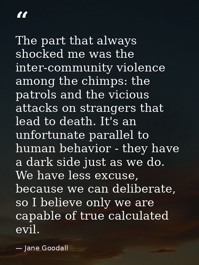 The part that always shocked me was the inter-community violence among the chimps: the patrols and the vicious attacks o — Jane Goodall