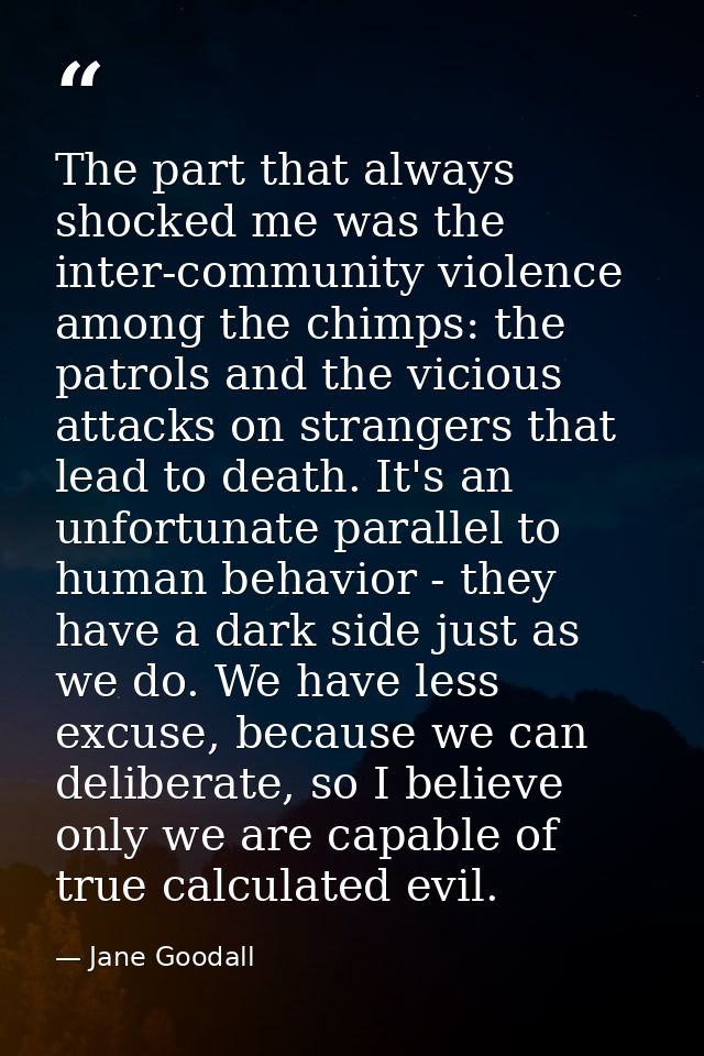 The part that always shocked me was the inter-community violence among the chimps: the patrols and the vicious attacks o — Jane Goodall