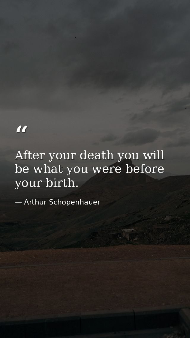 After your death you will be what you were before your birth. — Arthur Schopenhauer