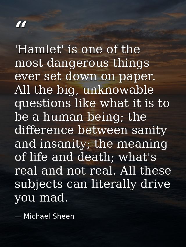 'Hamlet' is one of the most dangerous things ever set down on paper. All the big, unknowable questions like what it is t — Michael Sheen