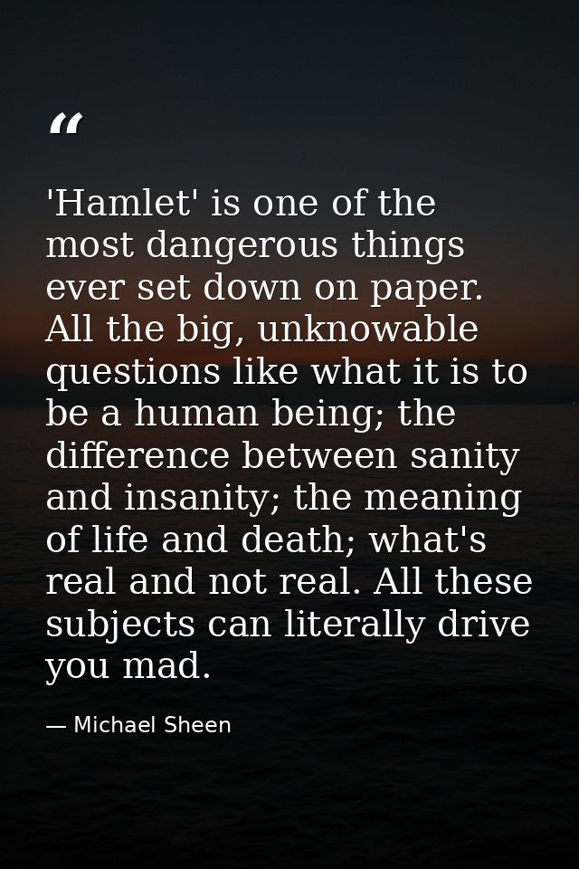 'Hamlet' is one of the most dangerous things ever set down on paper. All the big, unknowable questions like what it is t — Michael Sheen