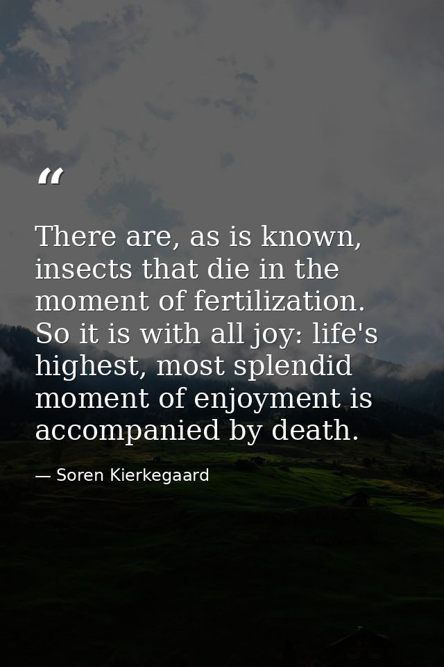 There are, as is known, insects that die in the moment of fertilization. So it is with all joy: life's highest, most spl — Soren Kierkegaard