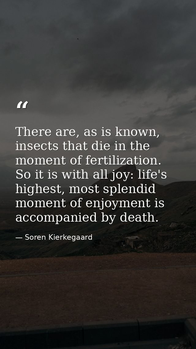 There are, as is known, insects that die in the moment of fertilization. So it is with all joy: life's highest, most spl — Soren Kierkegaard