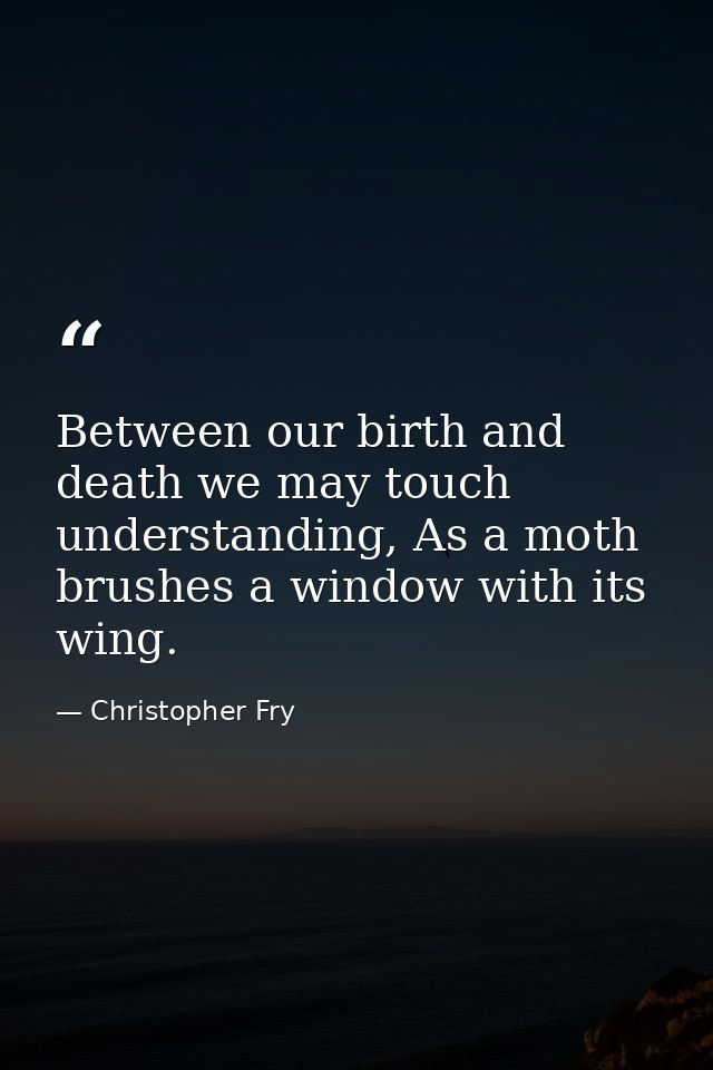 Between our birth and death we may touch understanding, As a moth brushes a window with its wing. — Christopher Fry