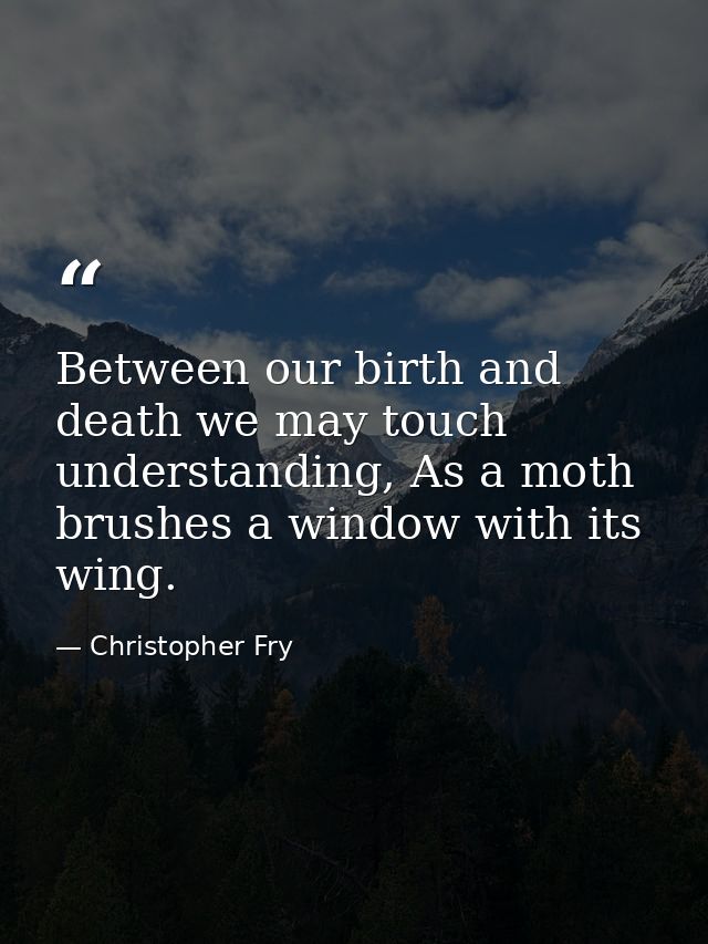 Between our birth and death we may touch understanding, As a moth brushes a window with its wing. — Christopher Fry