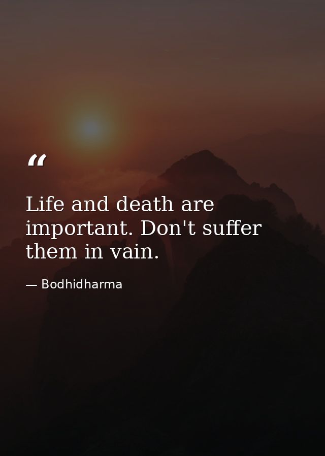 Life and death are important. Don't suffer them in vain. — Bodhidharma