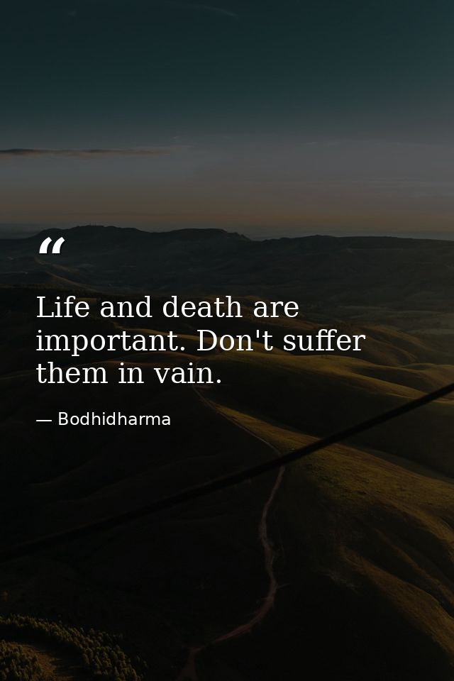 Life and death are important. Don't suffer them in vain. — Bodhidharma