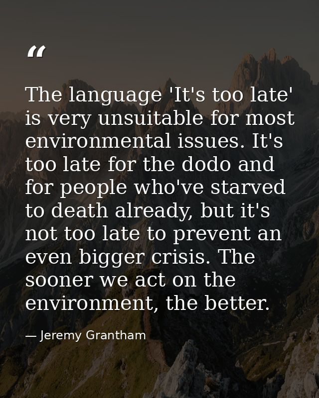 The language 'It's too late' is very unsuitable for most environmental issues. It's too late for the dodo and for people — Jeremy Grantham