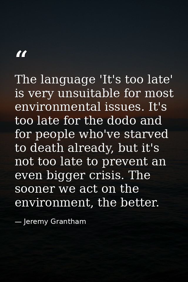 The language 'It's too late' is very unsuitable for most environmental issues. It's too late for the dodo and for people — Jeremy Grantham