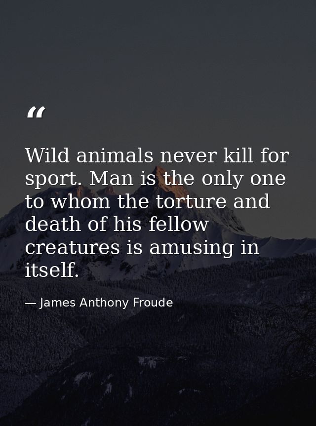 Wild animals never kill for sport. Man is the only one to whom the torture and death of his fellow creatures is amusing  — James Anthony Froude