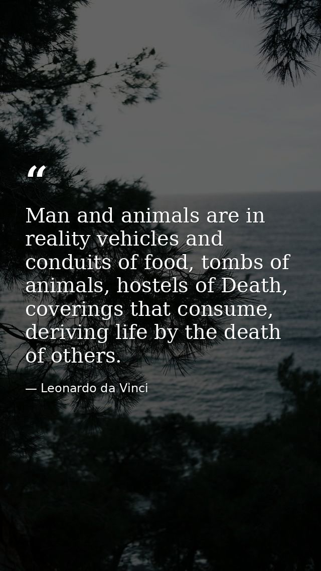 Man and animals are in reality vehicles and conduits of food, tombs of animals, hostels of Death, coverings that consume — Leonardo da Vinci