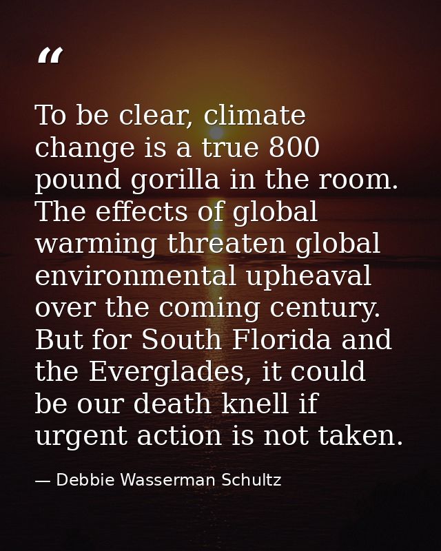 To be clear, climate change is a true 800 pound gorilla in the room. The effects of global warming threaten global envir — Debbie Wasserman Schultz