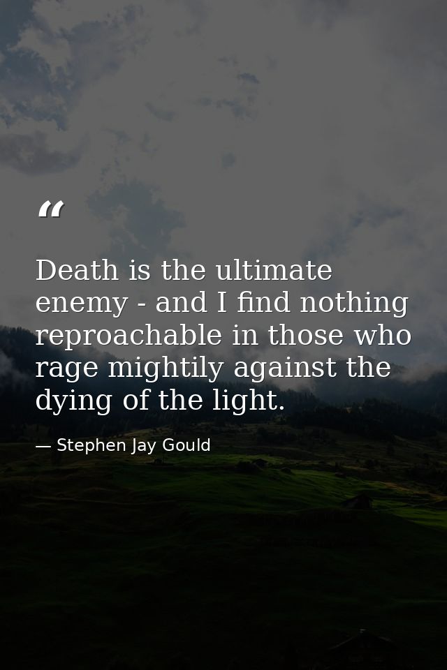 Death is the ultimate enemy - and I find nothing reproachable in those who rage mightily against the dying of the light. — Stephen Jay Gould