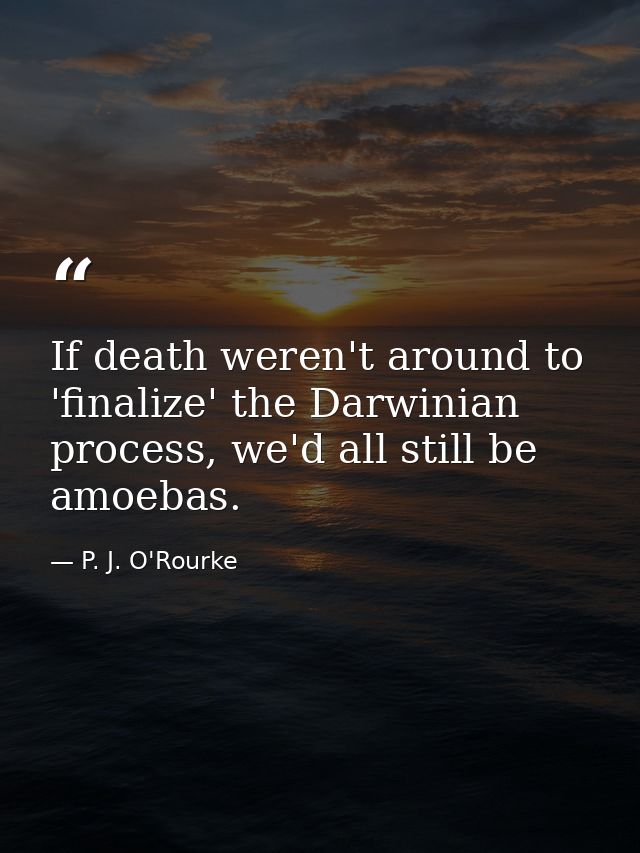 If death weren't around to 'finalize' the Darwinian process, we'd all still be amoebas. — P. J. O'Rourke