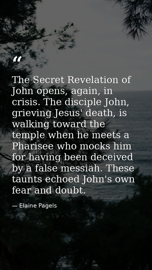 The Secret Revelation of John opens, again, in crisis. The disciple John, grieving Jesus' death, is walking toward the t — Elaine Pagels