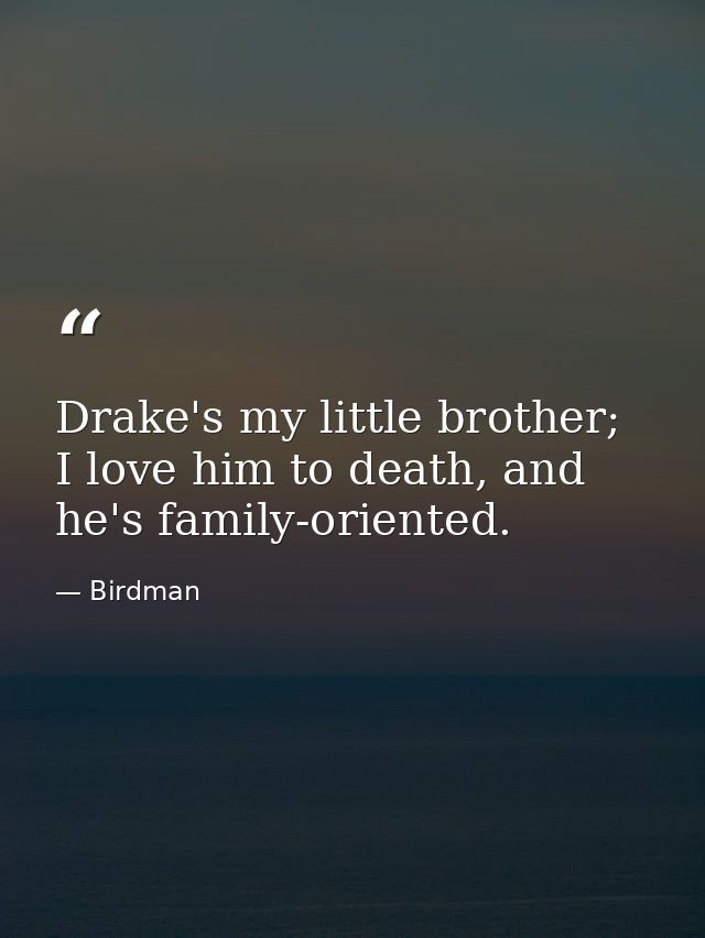 Drake's my little brother; I love him to death, and he's family-oriented. — Birdman
