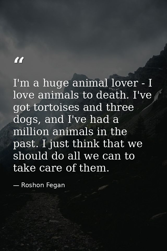 I'm a huge animal lover - I love animals to death. I've got tortoises and three dogs, and I've had a million animals in  — Roshon Fegan