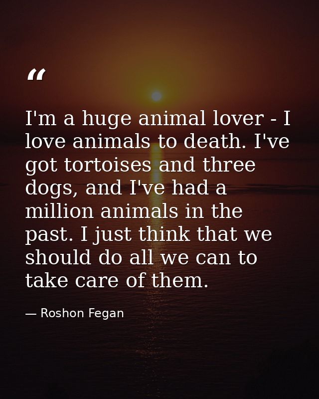 I'm a huge animal lover - I love animals to death. I've got tortoises and three dogs, and I've had a million animals in  — Roshon Fegan
