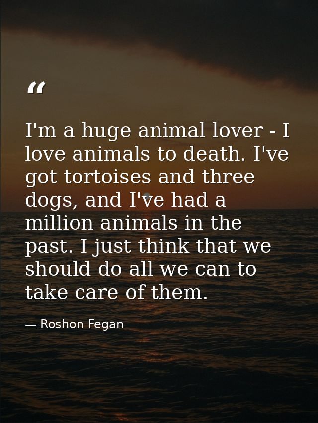 I'm a huge animal lover - I love animals to death. I've got tortoises and three dogs, and I've had a million animals in  — Roshon Fegan