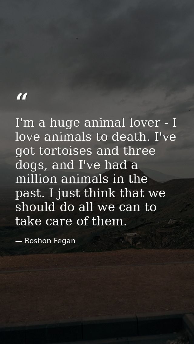 I'm a huge animal lover - I love animals to death. I've got tortoises and three dogs, and I've had a million animals in  — Roshon Fegan