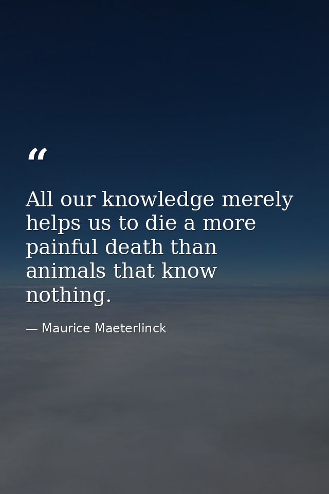 All our knowledge merely helps us to die a more painful death than animals that know nothing. — Maurice Maeterlinck