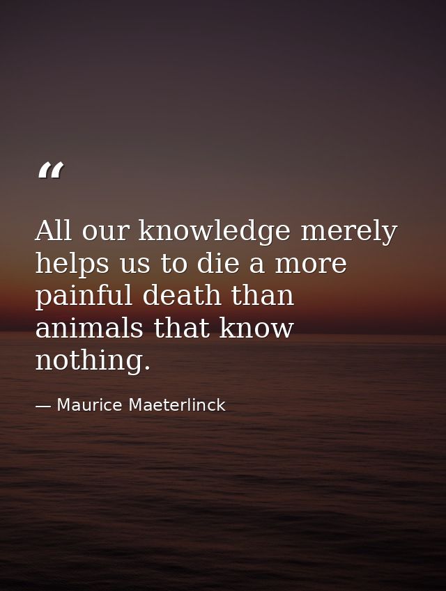 All our knowledge merely helps us to die a more painful death than animals that know nothing. — Maurice Maeterlinck