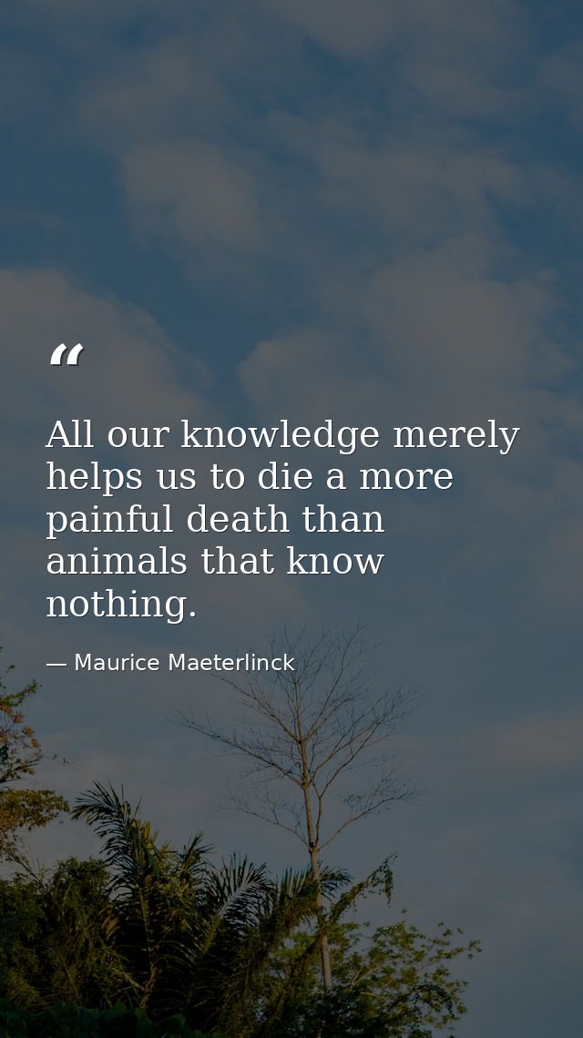 All our knowledge merely helps us to die a more painful death than animals that know nothing. — Maurice Maeterlinck