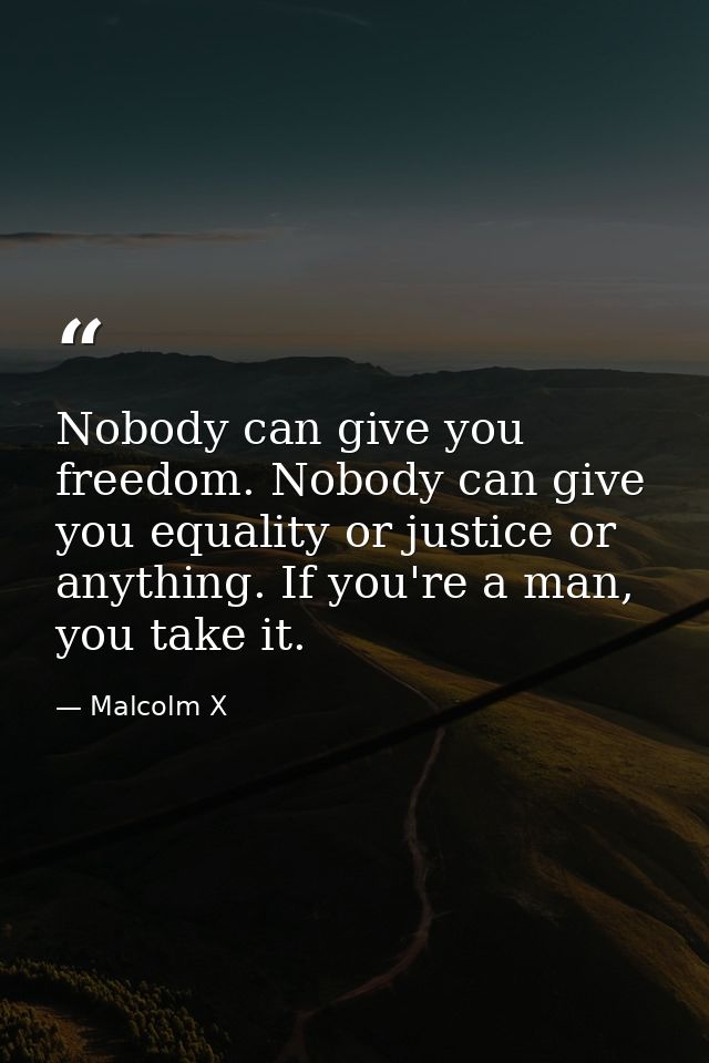 Nobody can give you freedom. Nobody can give you equality or justice or anything. If you're a man, you take it. — Malcolm X