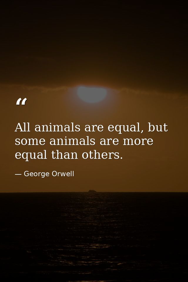 All animals are equal, but some animals are more equal than others. — George Orwell