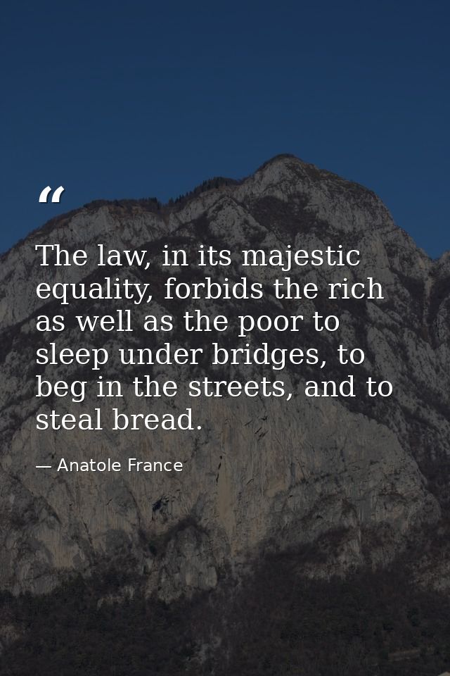 The law, in its majestic equality, forbids the rich as well as the poor to sleep under bridges, to beg in the streets, a — Anatole France