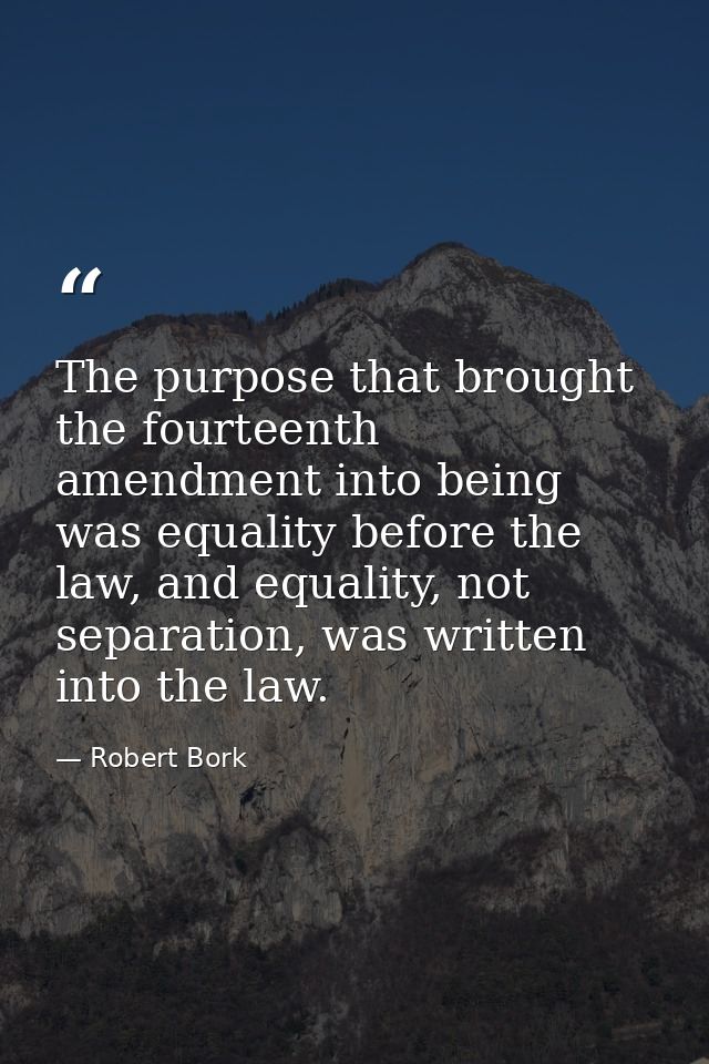 The purpose that brought the fourteenth amendment into being was equality before the law, and equality, not separation,  — Robert Bork
