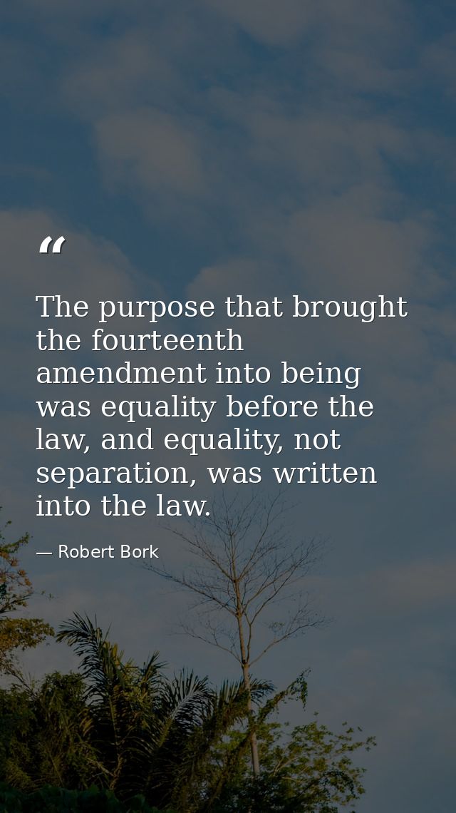 The purpose that brought the fourteenth amendment into being was equality before the law, and equality, not separation,  — Robert Bork