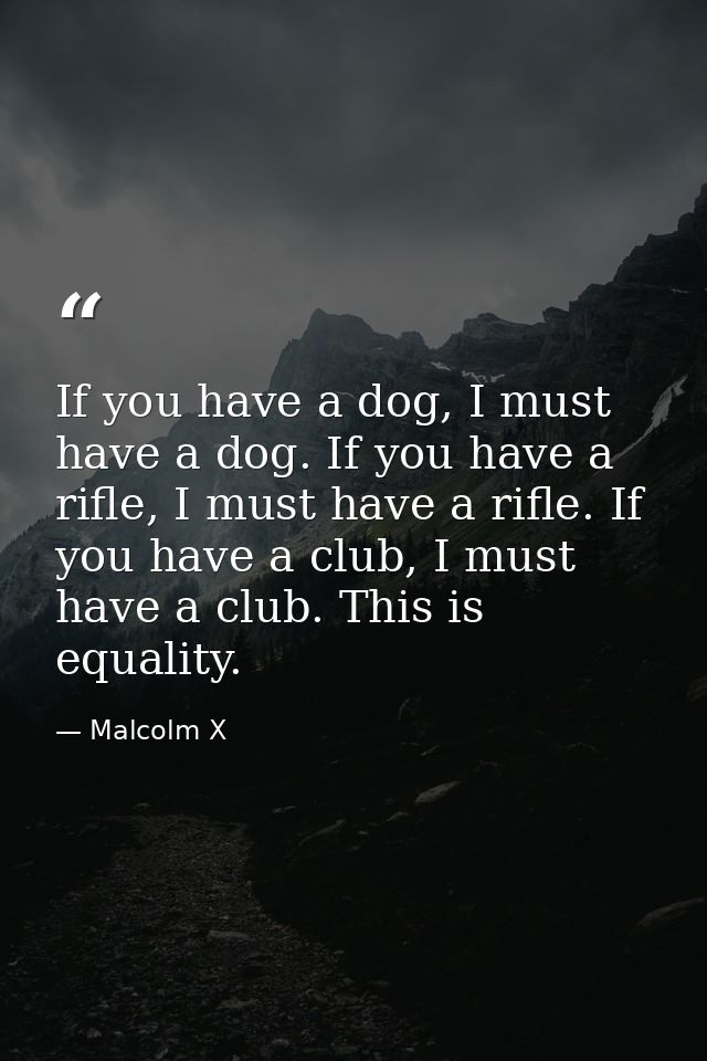 If you have a dog, I must have a dog. If you have a rifle, I must have a rifle. If you have a club, I must have a club.  — Malcolm X