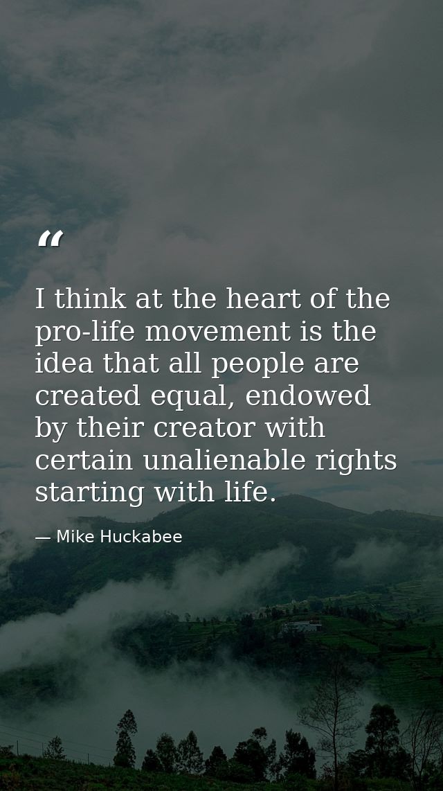 I think at the heart of the pro-life movement is the idea that all people are created equal, endowed by their creator wi — Mike Huckabee
