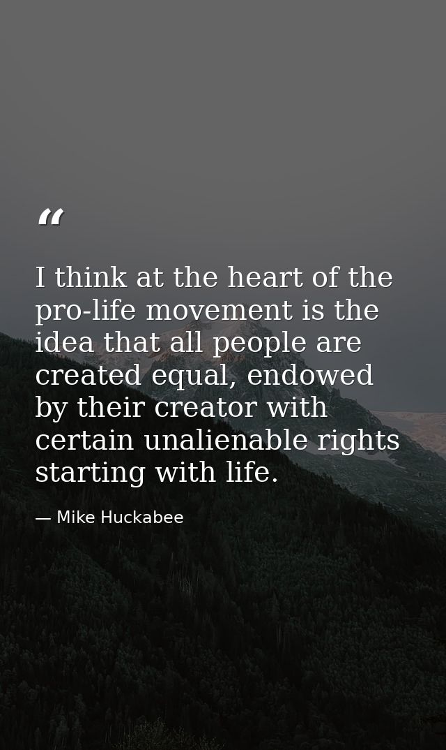 I think at the heart of the pro-life movement is the idea that all people are created equal, endowed by their creator wi — Mike Huckabee