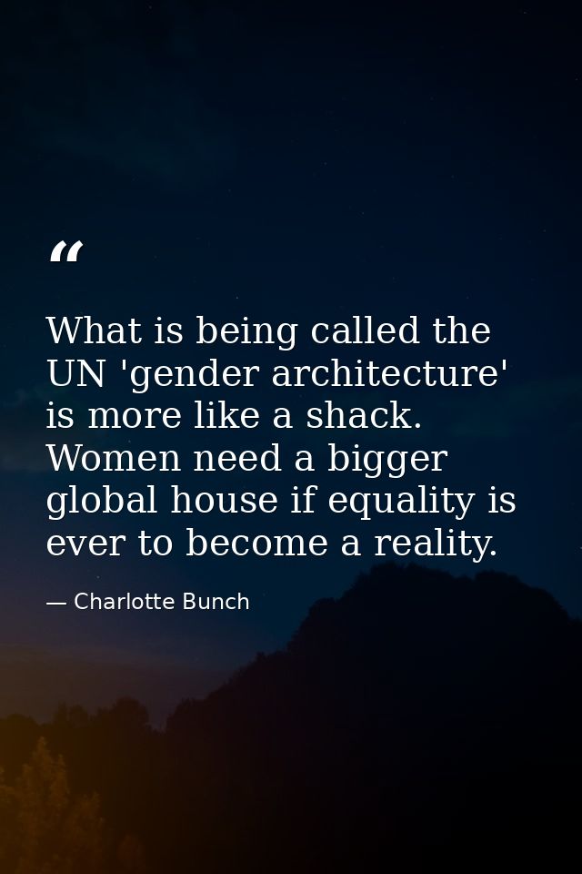 What is being called the UN 'gender architecture' is more like a shack. Women need a bigger global house if equality is  — Charlotte Bunch