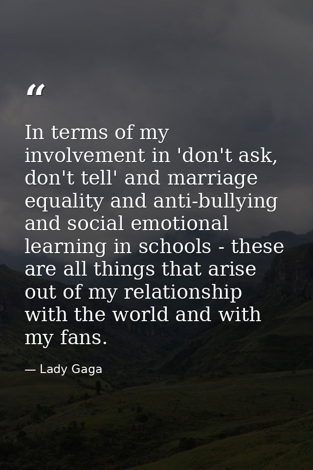 In terms of my involvement in 'don't ask, don't tell' and marriage equality and anti-bullying and social emotional learn — Lady Gaga