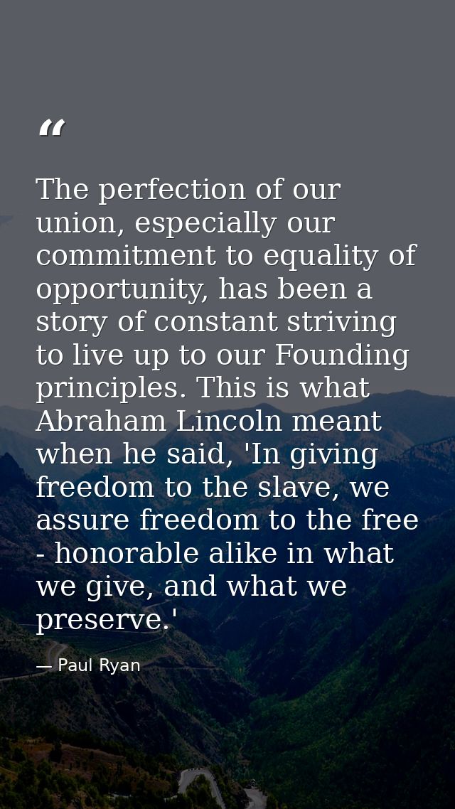 The perfection of our union, especially our commitment to equality of opportunity, has been a story of constant striving — Paul Ryan