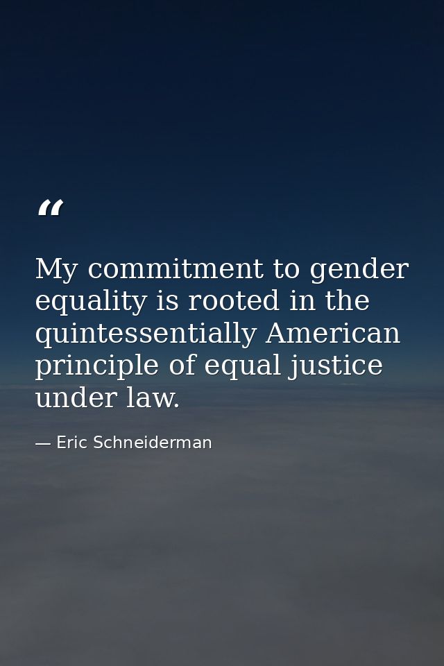 My commitment to gender equality is rooted in the quintessentially American principle of equal justice under law. — Eric Schneiderman