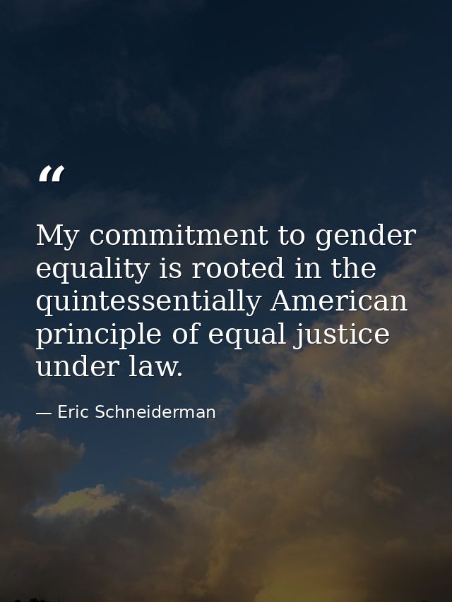 My commitment to gender equality is rooted in the quintessentially American principle of equal justice under law. — Eric Schneiderman