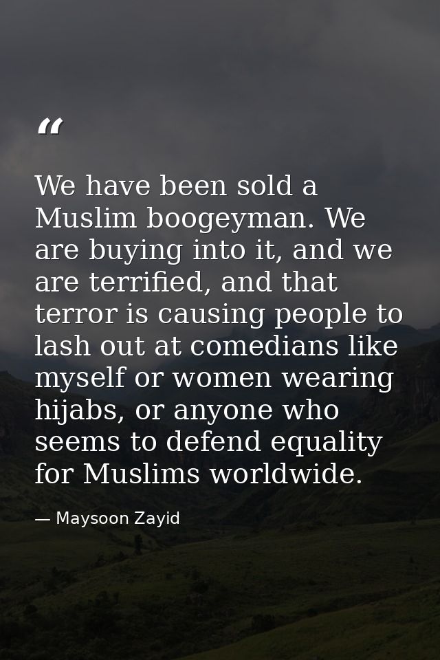 We have been sold a Muslim boogeyman. We are buying into it, and we are terrified, and that terror is causing people to  — Maysoon Zayid