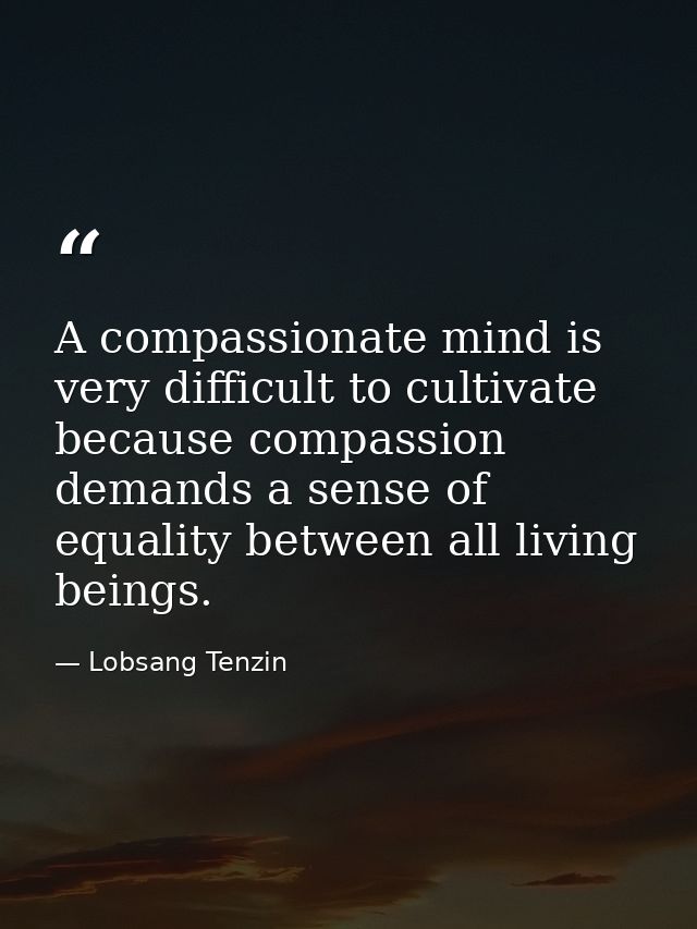 A compassionate mind is very difficult to cultivate because compassion demands a sense of equality between all living be — Lobsang Tenzin