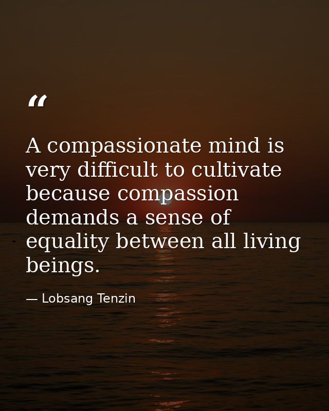 A compassionate mind is very difficult to cultivate because compassion demands a sense of equality between all living be — Lobsang Tenzin