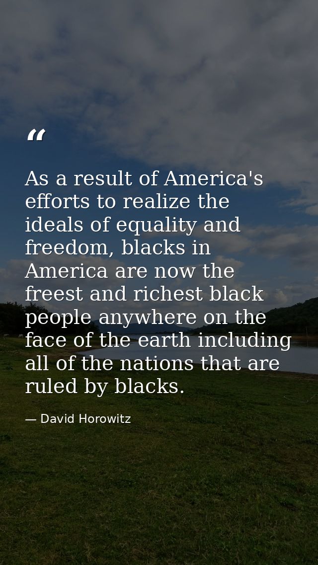 As a result of America's efforts to realize the ideals of equality and freedom, blacks in America are now the freest and — David Horowitz