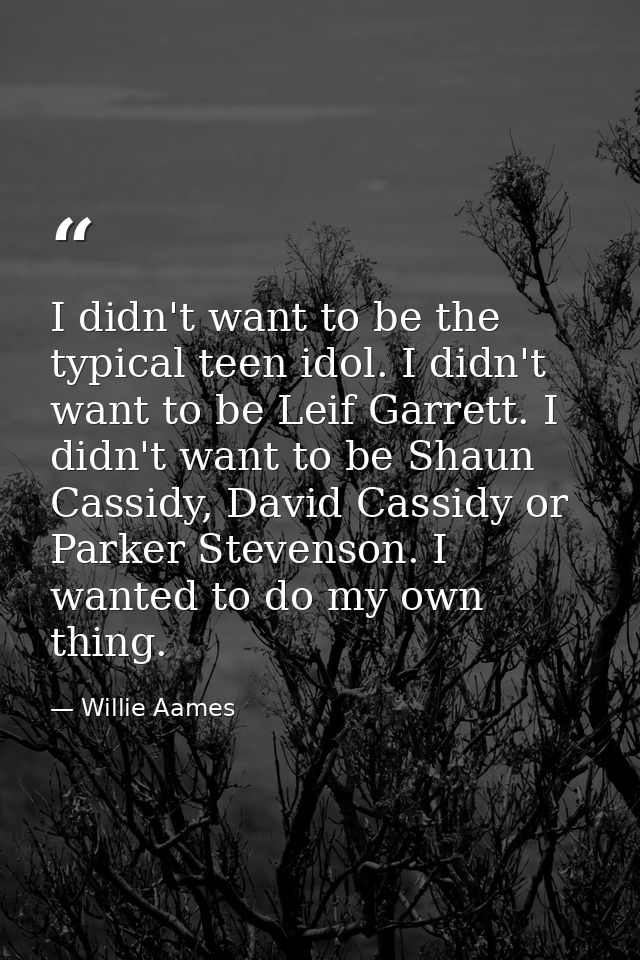 I didn't want to be the typical teen idol. I didn't want to be Leif Garrett. I didn't want to be Shaun Cassidy, David Ca — Willie Aames