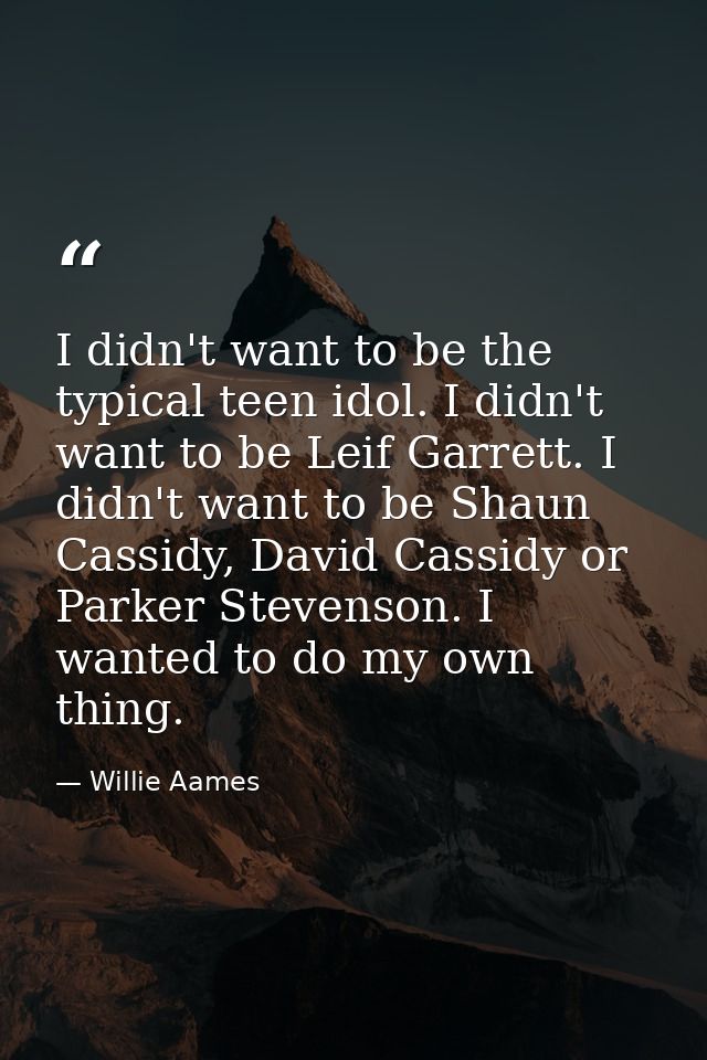 I didn't want to be the typical teen idol. I didn't want to be Leif Garrett. I didn't want to be Shaun Cassidy, David Ca — Willie Aames
