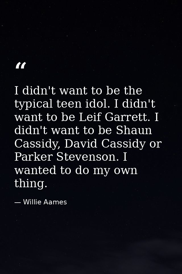 I didn't want to be the typical teen idol. I didn't want to be Leif Garrett. I didn't want to be Shaun Cassidy, David Ca — Willie Aames