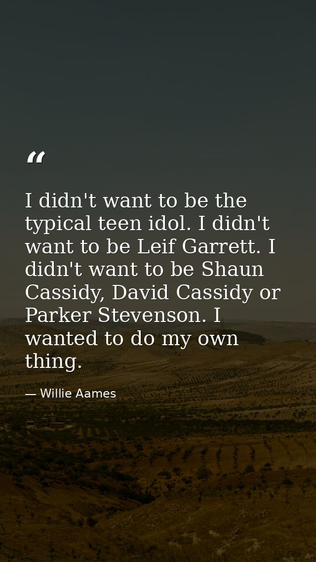 I didn't want to be the typical teen idol. I didn't want to be Leif Garrett. I didn't want to be Shaun Cassidy, David Ca — Willie Aames