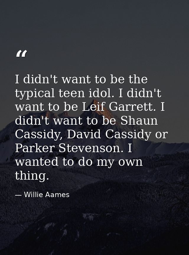 I didn't want to be the typical teen idol. I didn't want to be Leif Garrett. I didn't want to be Shaun Cassidy, David Ca — Willie Aames
